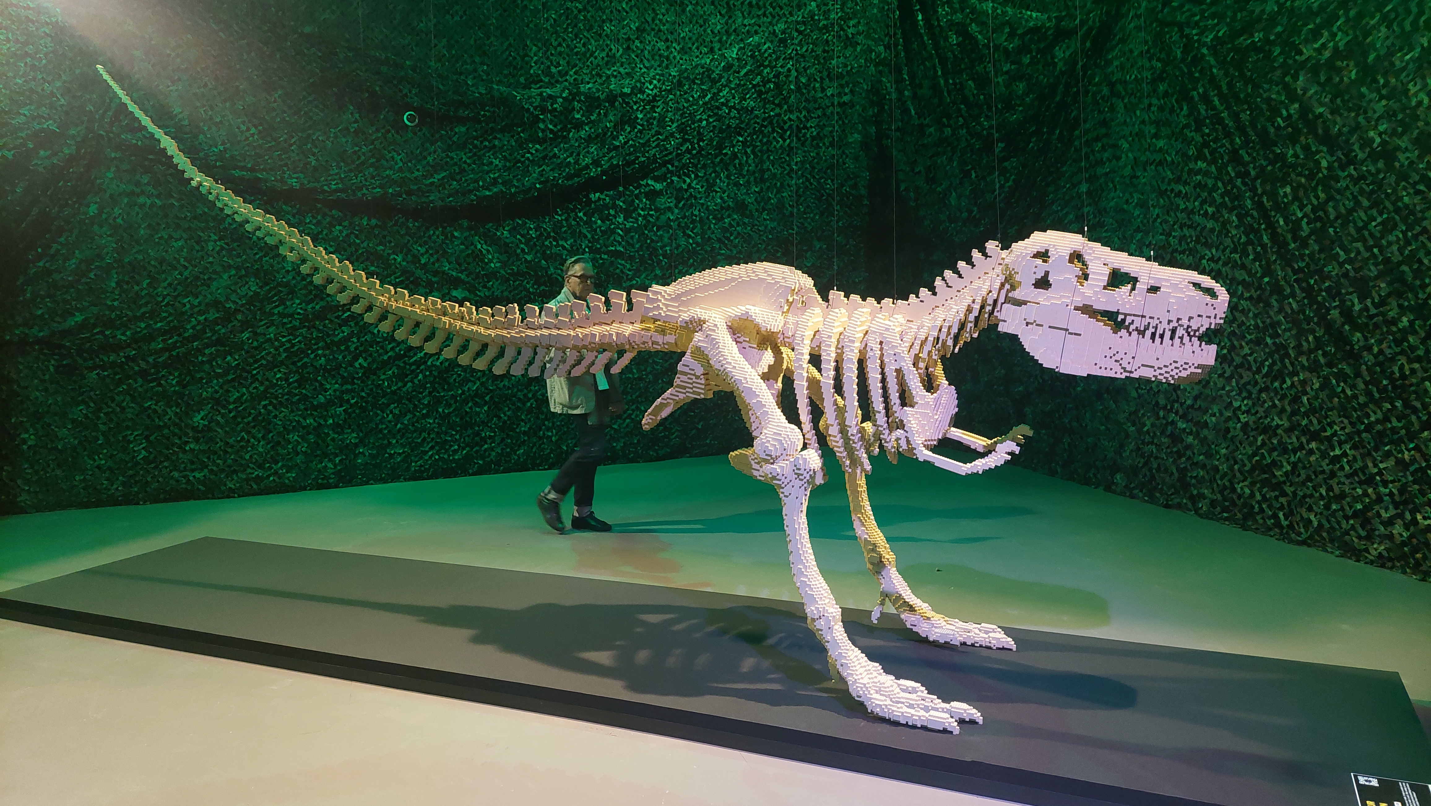 ‘Art of the Brick’ Lego art exhibit in Schenectady